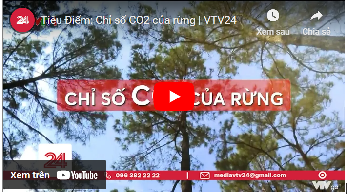 tieu-diem-chi-so-co2-cua-rung