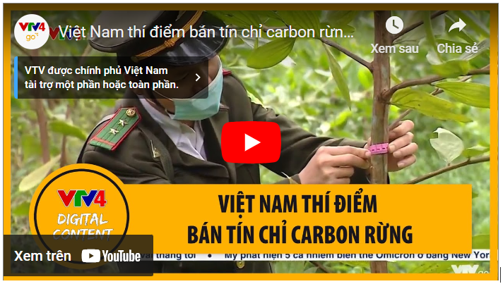 viet-nam-thi-diem-ban-tin-chi-carbon-rung